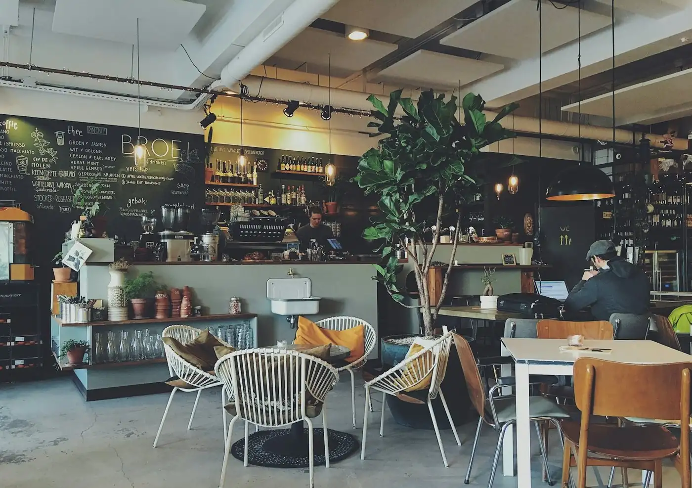 A café counter and dining room during service